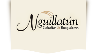 logo Nguillatún